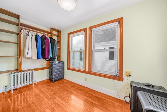 11 Murphy Ct, Newton, MA 02458 - bedroom with radiator, light wood-type flooring, and baseboards