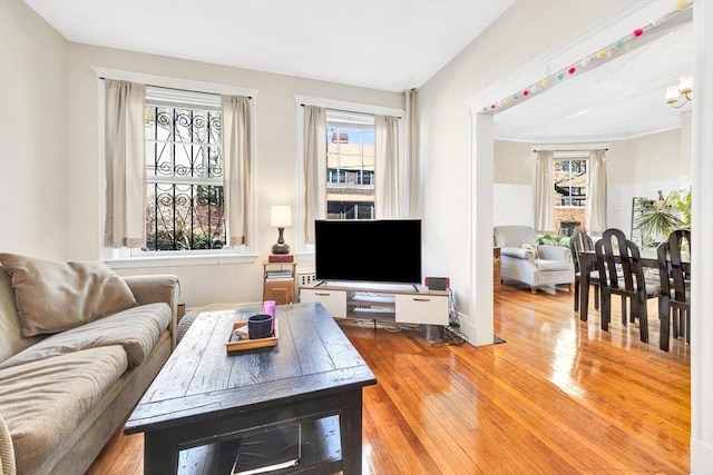 living area featuring wood-type flooring