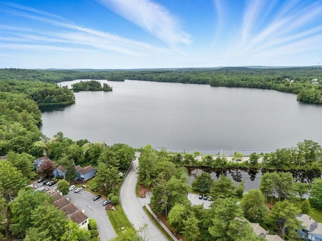 611 Old Stone Brk Unit 611, Acton, MA 01718 - aerial view of a nearby body of water and a forest