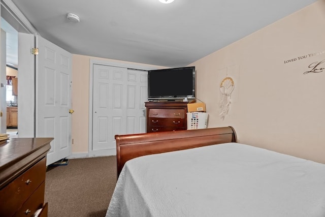 bedroom featuring carpet and a closet