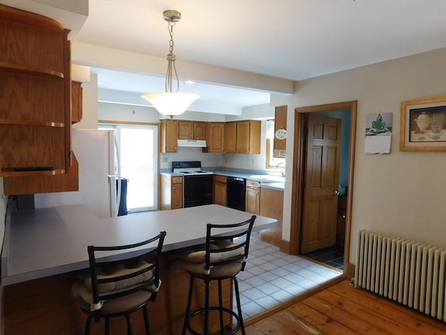 kitchen featuring radiator, under cabinet range hood, black dishwasher, a peninsula, and electric stove