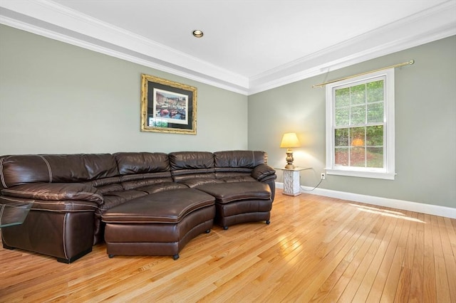 15 Keyes House Rd, Shrewsbury, MA 01545 - living room featuring hardwood / wood-style floors, baseboards, and ornamental molding