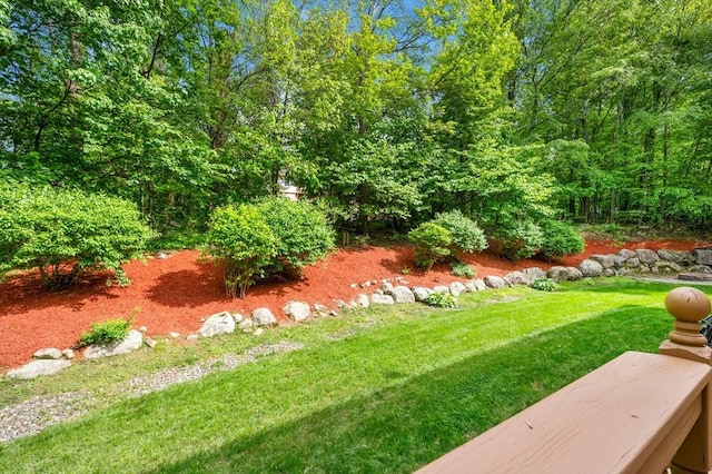 15 Keyes House Rd, Shrewsbury, MA 01545 - view of grassy yard