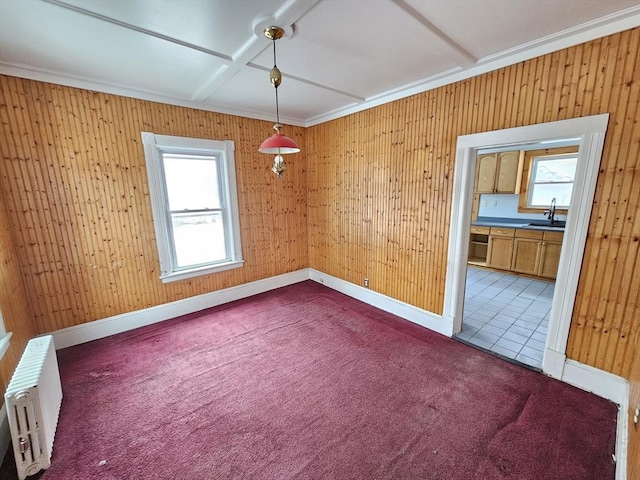 empty room featuring dark carpet, radiator heating unit, crown molding, and a sink
