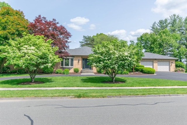 109 Wild Grove Ln, Longmeadow, MA 01106 - view of property hidden behind natural elements featuring asphalt driveway, a front lawn, an attached garage, and entry steps