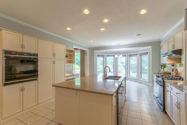 109 Wild Grove Ln, Longmeadow, MA 01106 - kitchen featuring appliances with stainless steel finishes, a sink, crown molding, under cabinet range hood, and recessed lighting