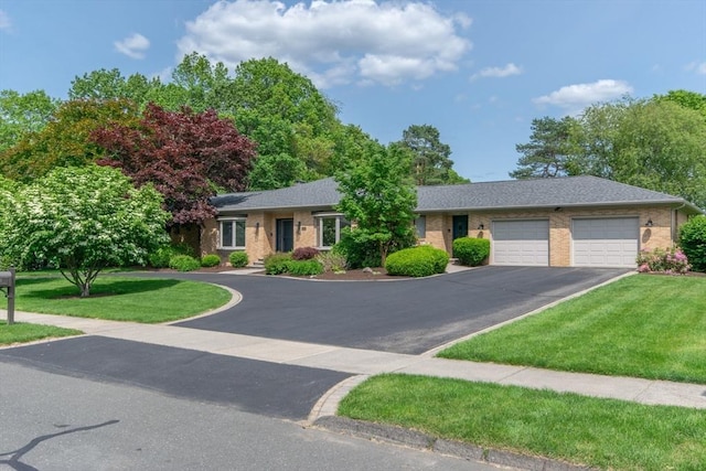 109 Wild Grove Ln, Longmeadow, MA 01106 - single story home with driveway, brick siding, and a front lawn