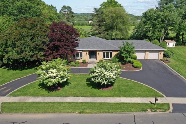 109 Wild Grove Ln, Longmeadow, MA 01106 - single story home with asphalt driveway, an attached garage, and a front lawn