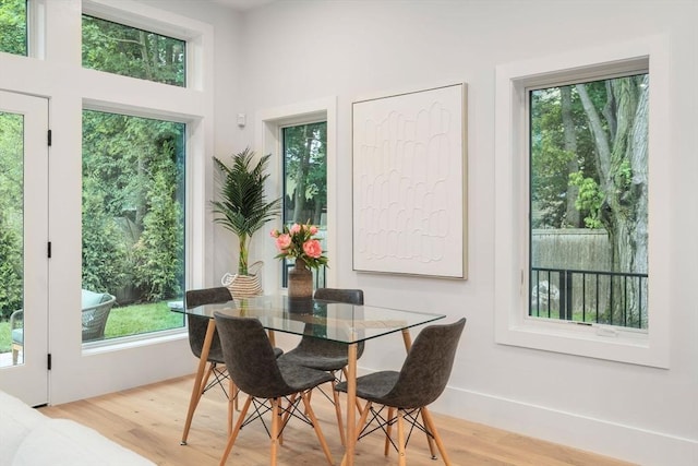 2202 Commonwealth Ave Unit 3, Newton, MA 02466 - dining room with wood finished floors and plenty of natural light