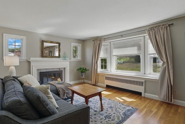 living area with a healthy amount of sunlight, radiator, baseboards, and a fireplace