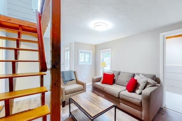 living room with hardwood / wood-style floors