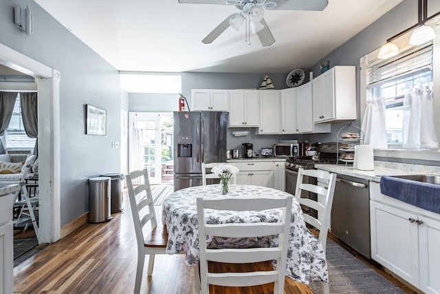 kitchen featuring white cabinetry, appliances with stainless steel finishes, and dark hardwood / wood-style flooring