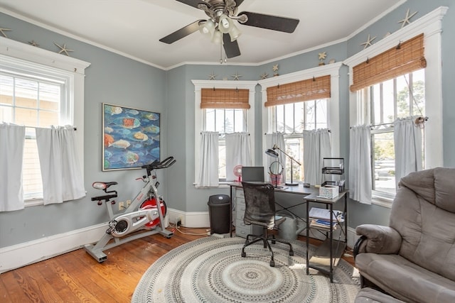 office featuring hardwood / wood-style flooring, plenty of natural light, ceiling fan, and crown molding