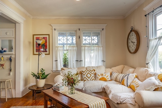 living room with ornamental molding and hardwood / wood-style floors