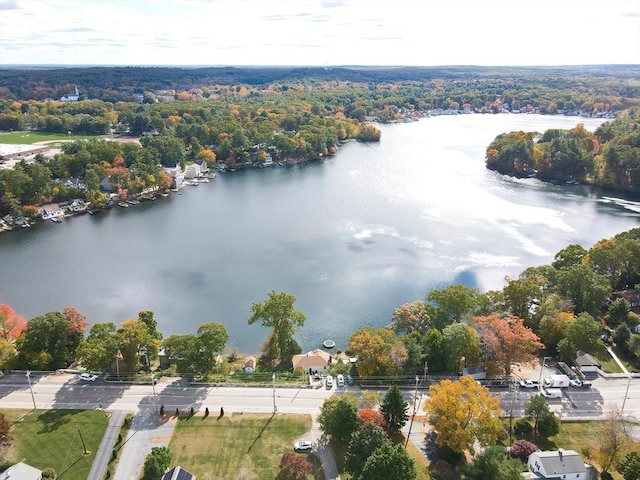 371-377 Franklin St, Wrentham, MA 02093 - bird's eye view of a large body of water and a heavily wooded area
