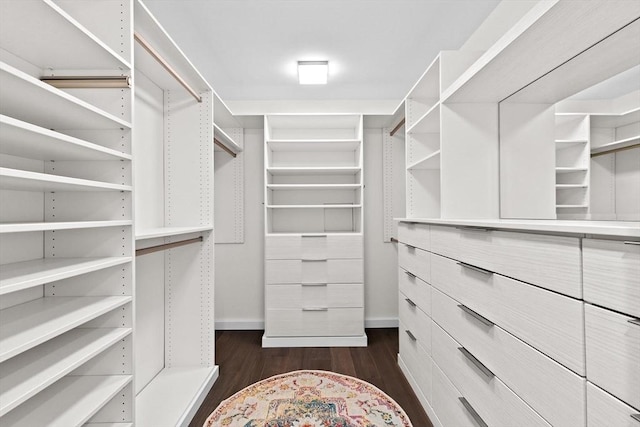 50 Longwood Ave Unit 1016/1017, Brookline, MA 02446 - walk in closet featuring dark wood-style floors