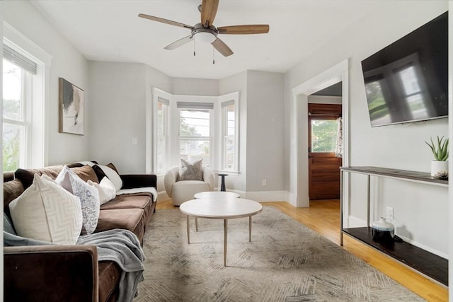 15 Berkeley St, Somerville, MA 02143 - living room featuring a ceiling fan and light wood-style flooring
