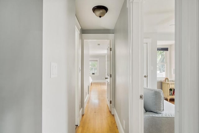 15 Berkeley St, Somerville, MA 02143 - corridor with light wood-style flooring and baseboards