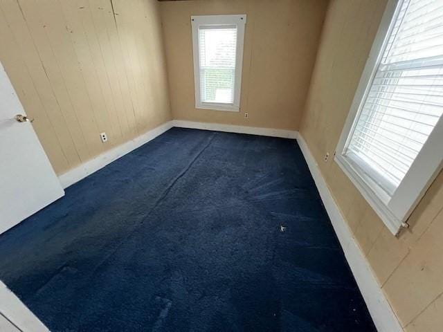 14 Felton St, Fitchburg, MA 01420 - unfurnished room with dark colored carpet and wood walls