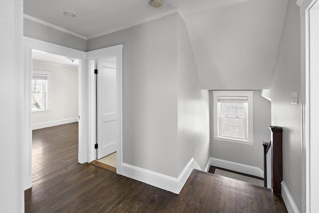 stairway with crown molding and wood-type flooring