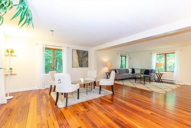 living area featuring baseboards and wood finished floors