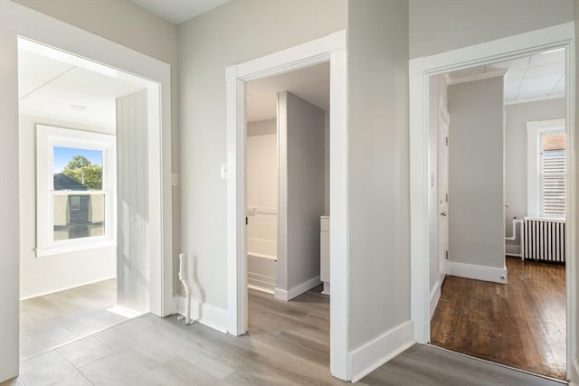 282 Palmer St, New Bedford, MA 02740 - hallway featuring radiator, wood finished floors, and baseboards