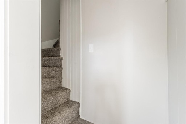 282 Palmer St, New Bedford, MA 02740 - staircase featuring carpet flooring