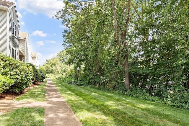 193 Patrick Rd Unit 193, Tewksbury, MA 01876 - view of green lawn
