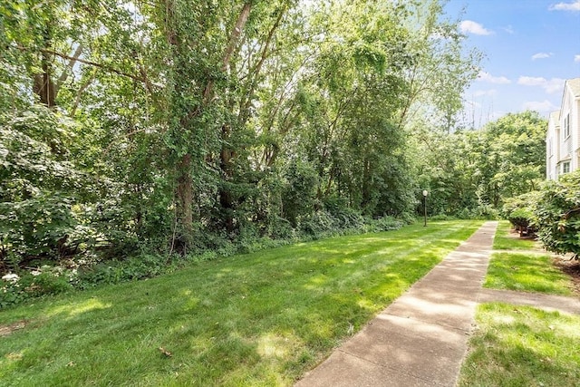193 Patrick Rd Unit 193, Tewksbury, MA 01876 - view of grassy yard