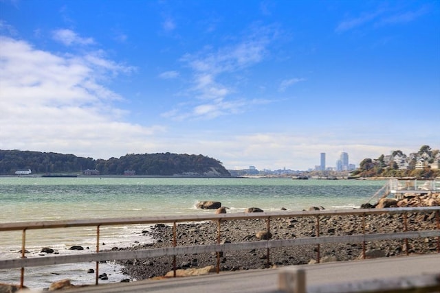 property view of water featuring a beach view