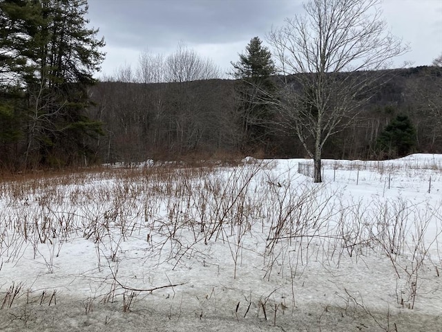 view of snow covered land