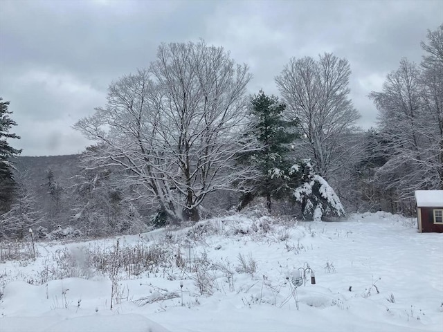 view of snowy view