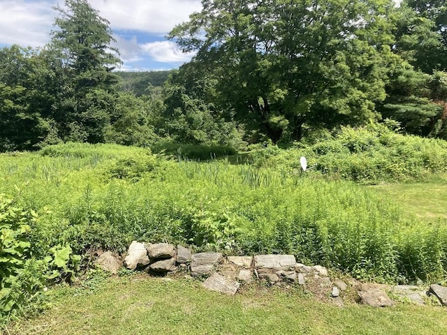 view of nature with a forest view