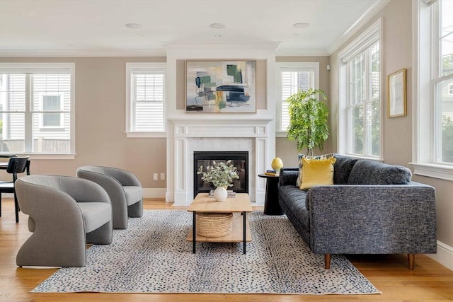 31 Neponset Ave, Boston, MA 02131 - living area featuring wood finished floors, a glass covered fireplace, and crown molding
