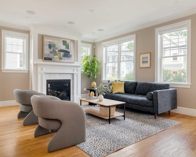 31 Neponset Ave, Boston, MA 02131 - living room featuring light wood-style floors, a fireplace, and crown molding