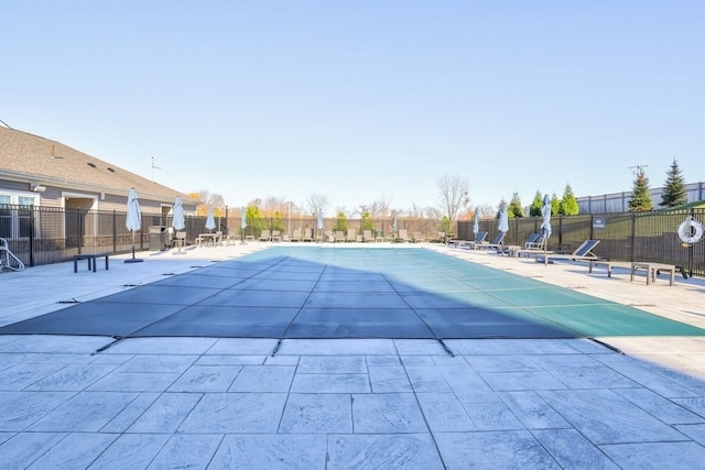 view of pool featuring a patio area