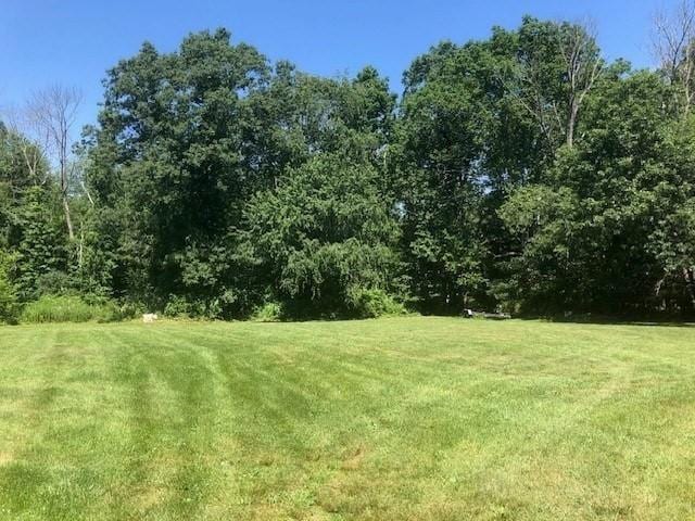 84 Booth Hill Rd, Scituate, MA 02066 - view of green lawn
