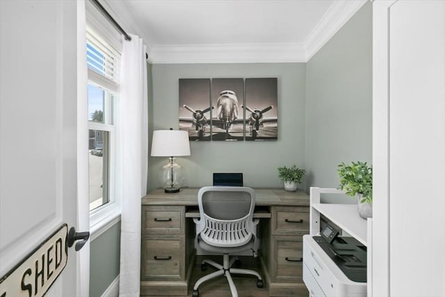 21 Bailey Pond Ln Unit 21, Amesbury, MA 01913 - office space with ornamental molding and built in study area