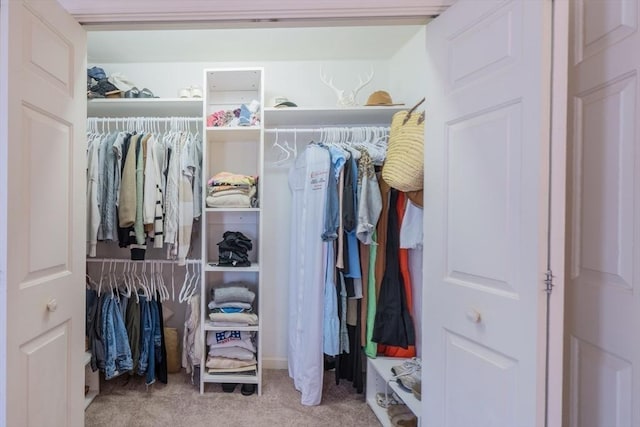 view of closet