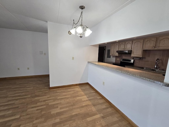 17 Skyline Dr Unit 3, Braintree, MA 02184 - kitchen with electric range, under cabinet range hood, tasteful backsplash, and wood finished floors