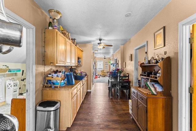 kitchen with a ceiling fan and dark wood-style flooring