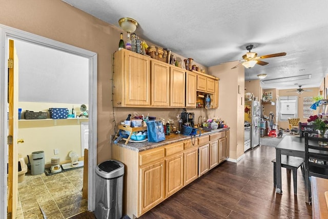 kitchen featuring dark wood finished floors, ceiling fan, freestanding refrigerator, light countertops, and a sink