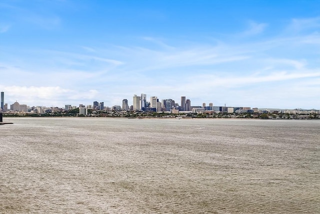 131 Dorchester St Unit 131, Quincy, MA 02171 - view of community featuring a skyline view