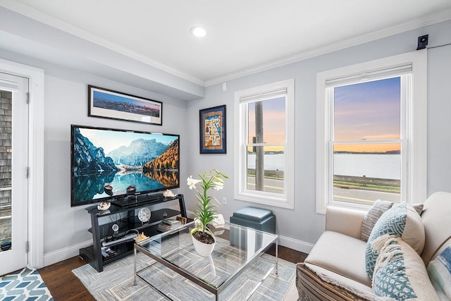 131 Dorchester St Unit 131, Quincy, MA 02171 - living room with crown molding, baseboards, wood finished floors, and recessed lighting