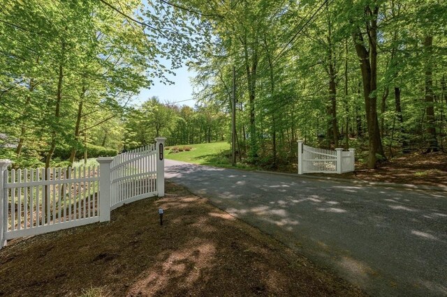 1 Webster Ln, Wilbraham, MA 01095 - view of street with a gate and a view of trees