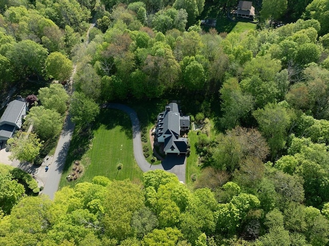 1 Webster Ln, Wilbraham, MA 01095 - aerial overview of property's location featuring a heavily wooded area