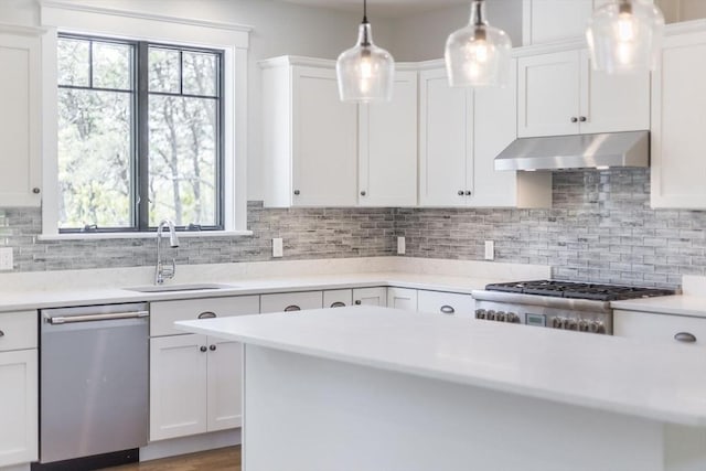 92 Whiffletree Ave, Brewster, MA 02631 - kitchen featuring stainless steel dishwasher, under cabinet range hood, a sink, and light countertops