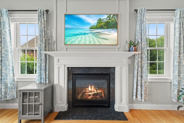 6 Jacoby Way, Seekonk, MA 02771 - detailed view of wood finished floors and a fireplace with flush hearth