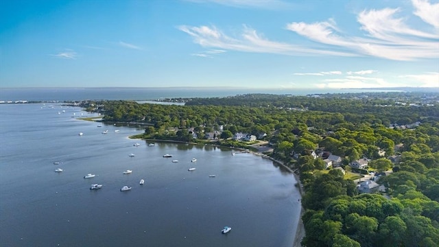 28 Chestnut St, Falmouth, MA 02536 - drone / aerial view of a large body of water and a heavily wooded area