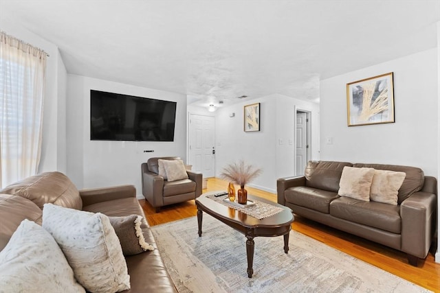 living room featuring light wood-type flooring